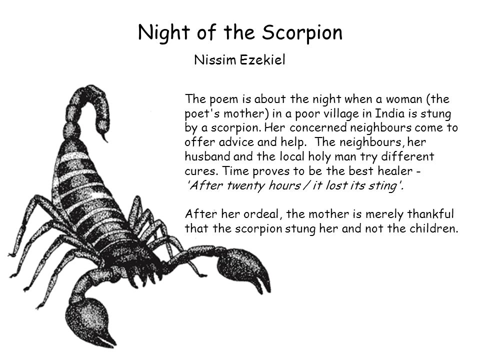 nissim ezekiel night of the scorpion essay